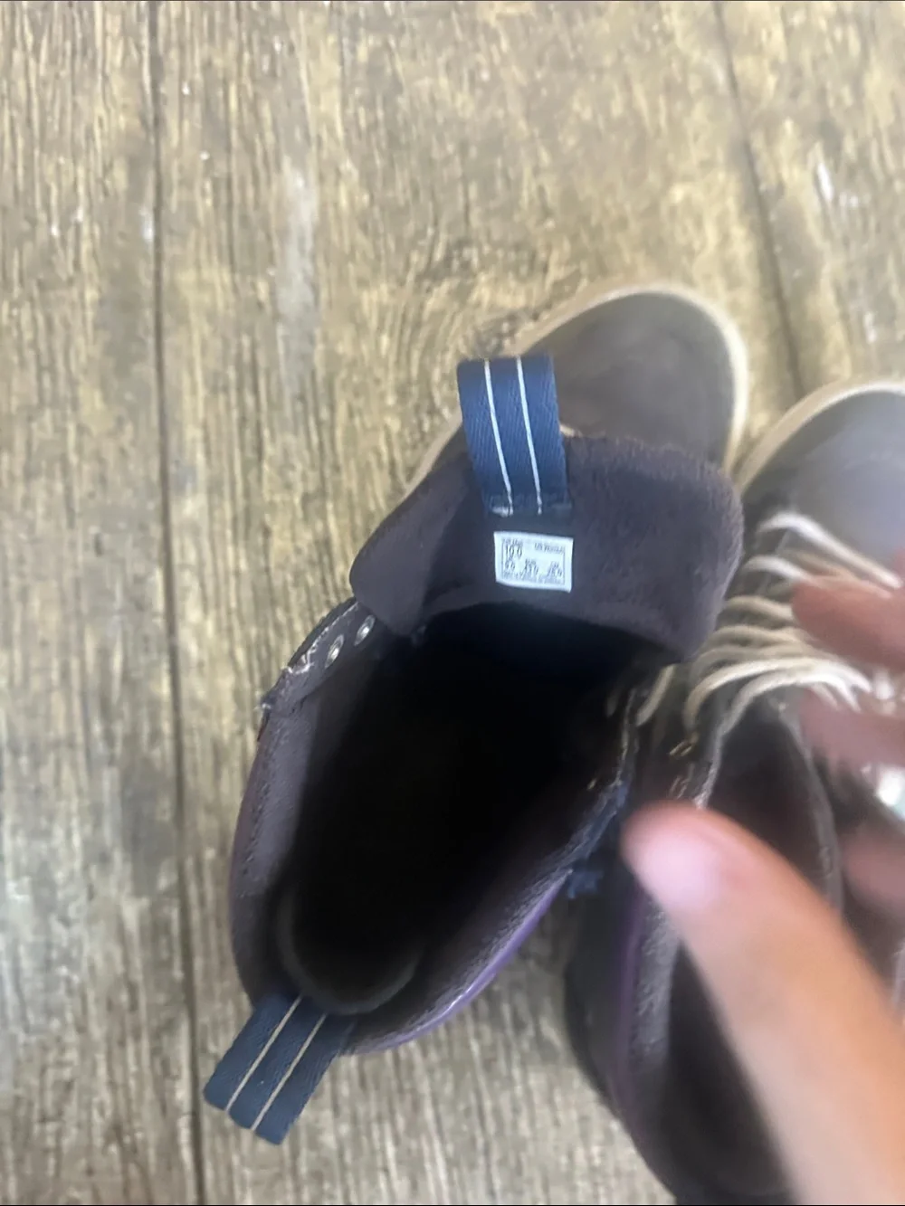 Vans high top